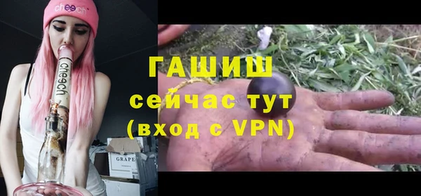 молекула духа Дмитриев