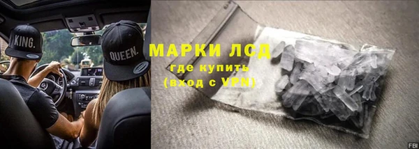 прущие грибы Дмитровск