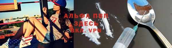 прущие грибы Дмитровск