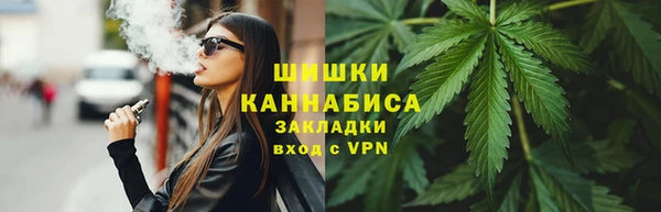 прущие грибы Дмитровск