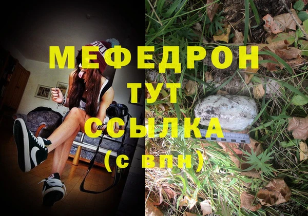 прущие грибы Дмитровск