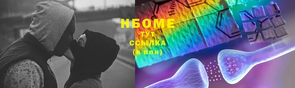 прущие грибы Дмитровск