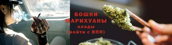 прущие грибы Дмитровск
