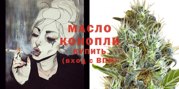 молекула духа Дмитриев