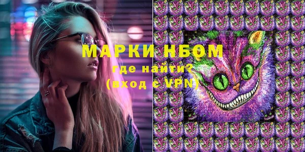 прущие грибы Дмитровск