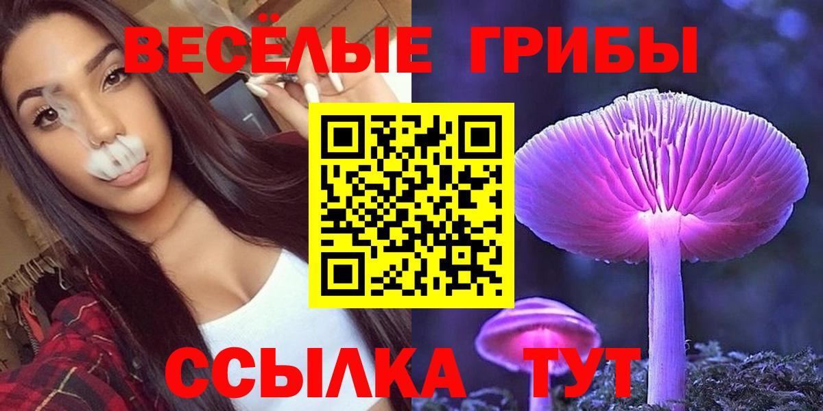 Звенигород  Галлюциногенные грибы Cubensis  Вход с VPN 
