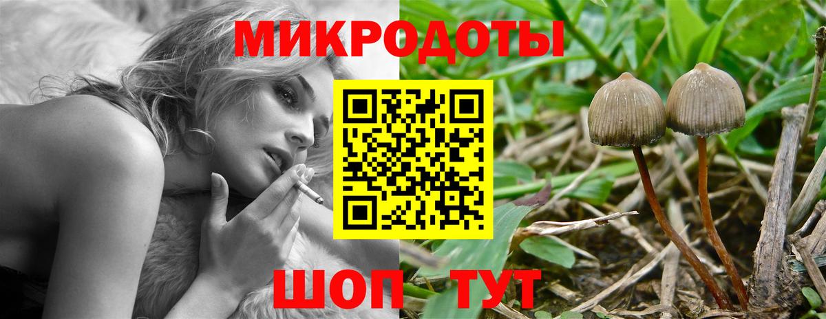 Галлюциногенные грибы прущие грибы Звенигород